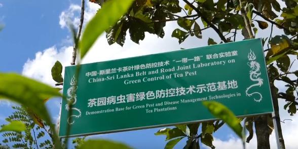 开放进行时代表委员热议深化国际农业合作加快建设农业强国(图11)