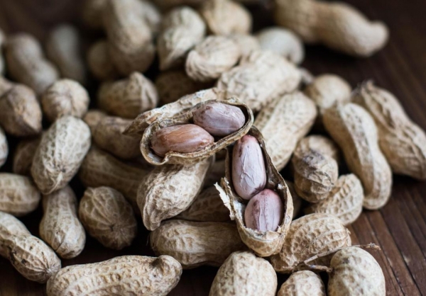 花生被关注！医生发现：糖尿病常吃花生不出半年或有5个好处(图5)