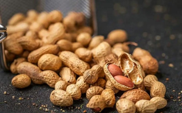 花生被关注！医生发现：糖尿病常吃花生不出半年或有5个好处(图12)