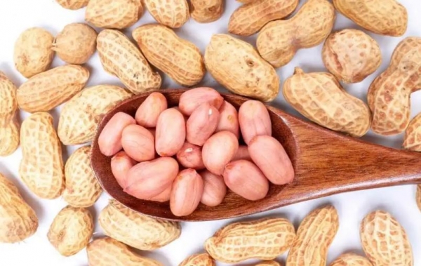 花生被关注！医生发现：糖尿病常吃花生不出半年或有5个好处(图9)
