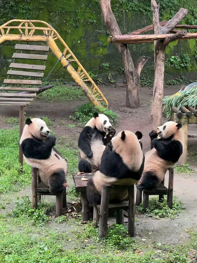 重庆三日游跟团价格多少口碑好的旅行社及纯玩路线(图3)