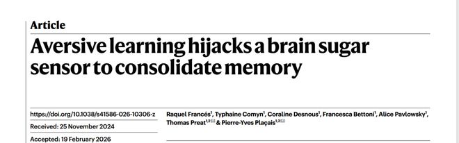 Nature｜伤心时吃的甜食竟在帮大脑加固痛苦记忆？法国科学家揭示情绪性进食的神经机制(图2)