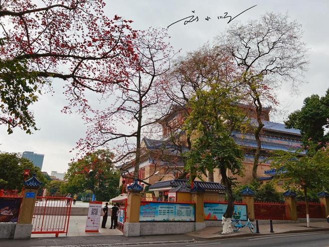 游客的疑惑:明明都是一线城市广州为什么没有上海“洋气”?(图3)