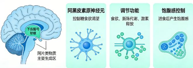 为什么我们吃饱饭后还想吃甜点?(图1)