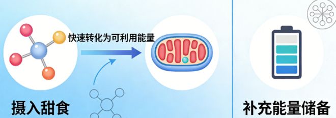 为什么我们吃饱饭后还想吃甜点?(图3)